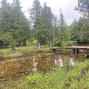 Meadow River Cabin