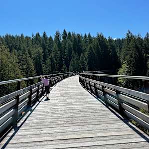 Nearby historic Kinsol Trestle