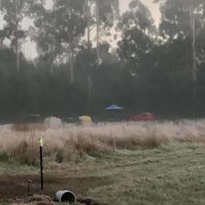 Early morning mist in May