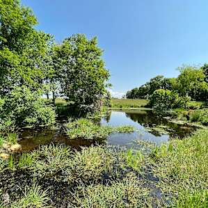 One of the ponds.! So pretty