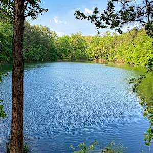 Between the Ponds