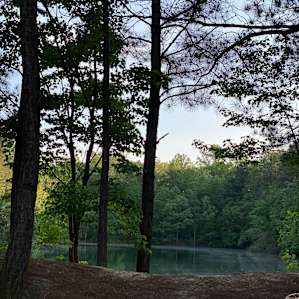 Between the Ponds