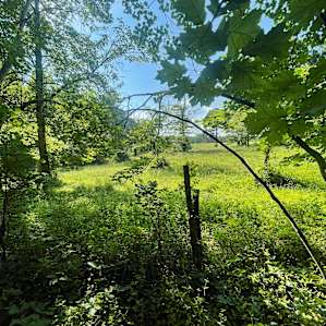 3 Field Car Sites Among Farmland
