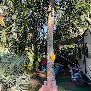 Flying Frog Ranch - Site#1