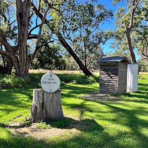 Wallaroo