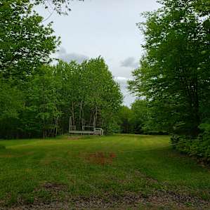 Bigger view of the campsite. The old porch is from a long gone trailer. May make a good dry spot to settup a tent?