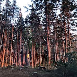 Driftwoods Seaside Tents