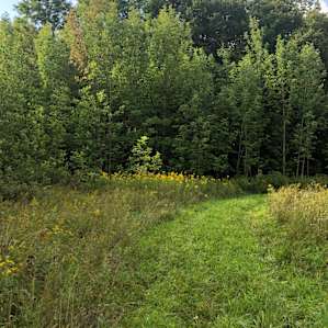Private Meadows and Woods