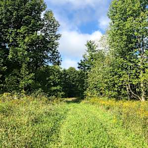 Private Meadows and Woods