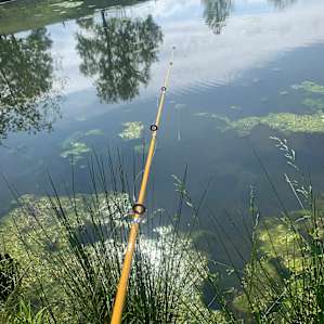 Had lots of fun letting all the little bluegill steal our worms.