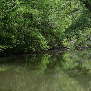 Buck Creek Junction