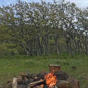 Fire crackles and birdsongs to welcome in the evening