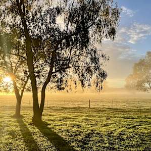 Morning sunrise at Bahwidgee - Tumut River
