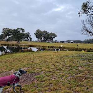 Boxgrove Campsites