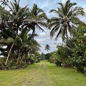 Sea Spray Garden (Kihapai Ehukai)