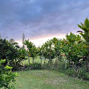 Sea Spray Garden (Kihapai Ehukai)