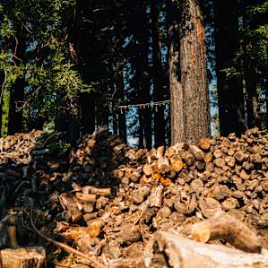 Woodpile