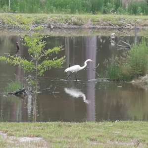 Camping on Piper's Pond