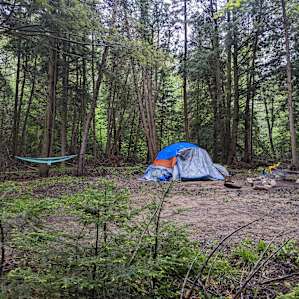 Campsite 3