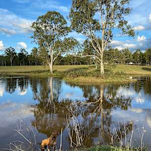 Mary River Farmstay - The River
