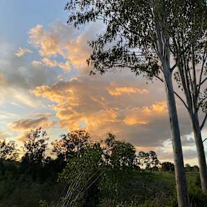 Mary River Farmstay - The River