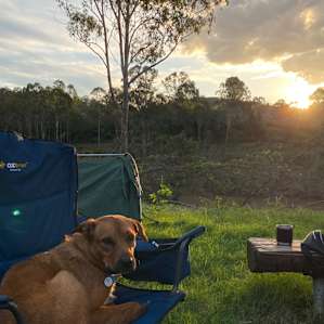 Mary River Farmstay - The River