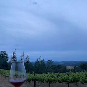 Mountain camping at a vineyard
