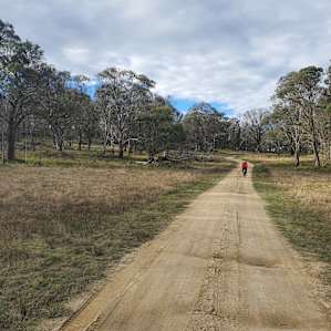 Road into Property