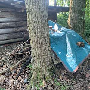 A Secluded Cabin With Horses