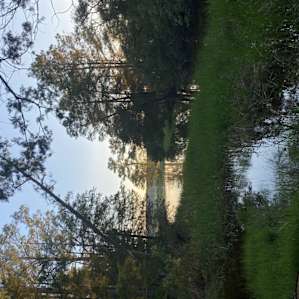 Amazing sunsets on Blackwater Creek