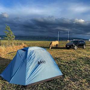 Cloud Peak Llamas and Alpacas ranch