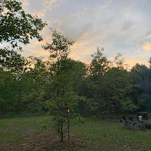 Site #1 Farm with Sheep, Goats+Bees