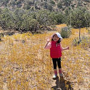 Old West Mountain Camping Near LA!