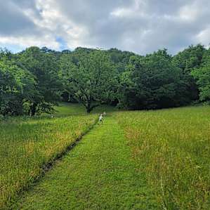 Moccasin Bend