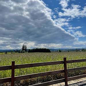Grace Acres Scenic RV Camping