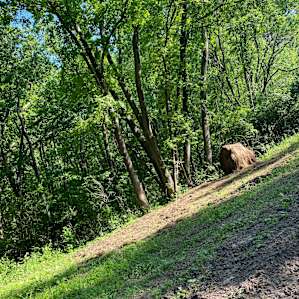 Lookout Ridge Retreat