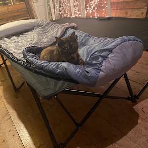 Garden Shed Farm Stay