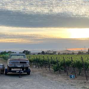 Winery camping