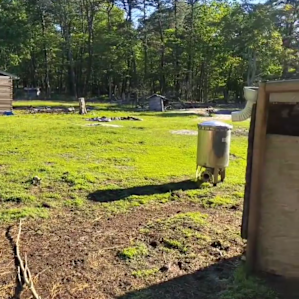 The woods beyond the animal enclosure, yes you can camp there