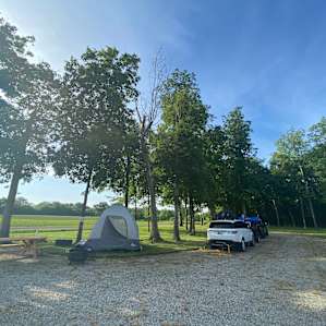 50 Amp Glamp Games Forest Surround