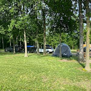 50 Amp Glamp Games Forest Surround