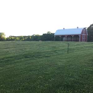 Our site looked out at the pasture and barn