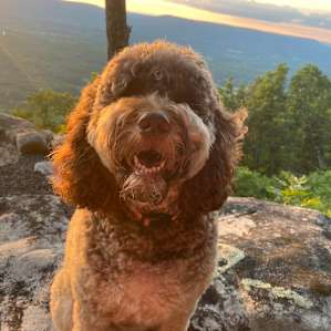 Sunset Rock