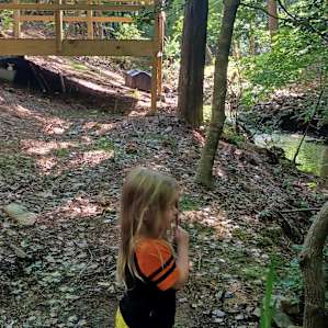 Jordan Lake Creekside