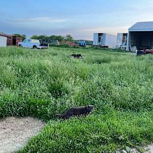 Camper/RV Site at Sweet Grass