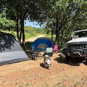 Beautiful shade covered sites