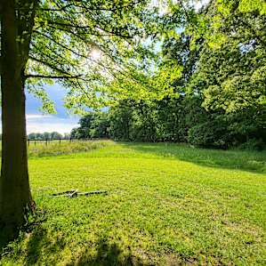 Bellview Farm