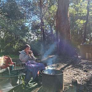 The Fern Glade, Murrindindi