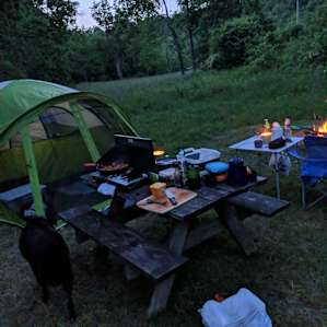 A Starry Night Camp/Organic Farm