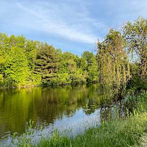 Peaceful Camping at Willowthorne